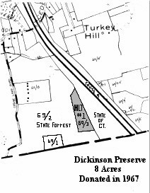 Dickinson Preserve